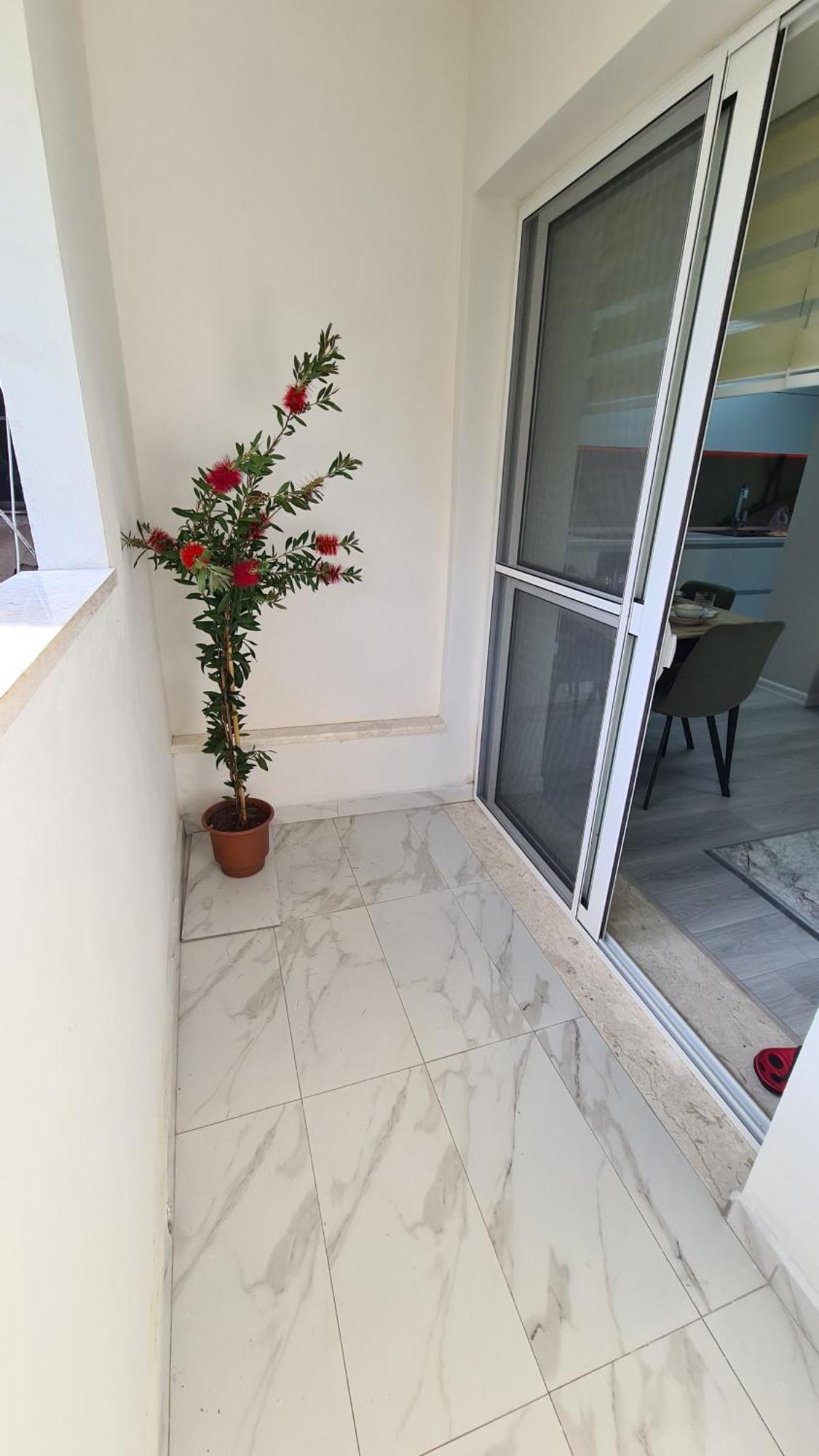 Dei Cozy Apartment Shkodër Eksteriør billede