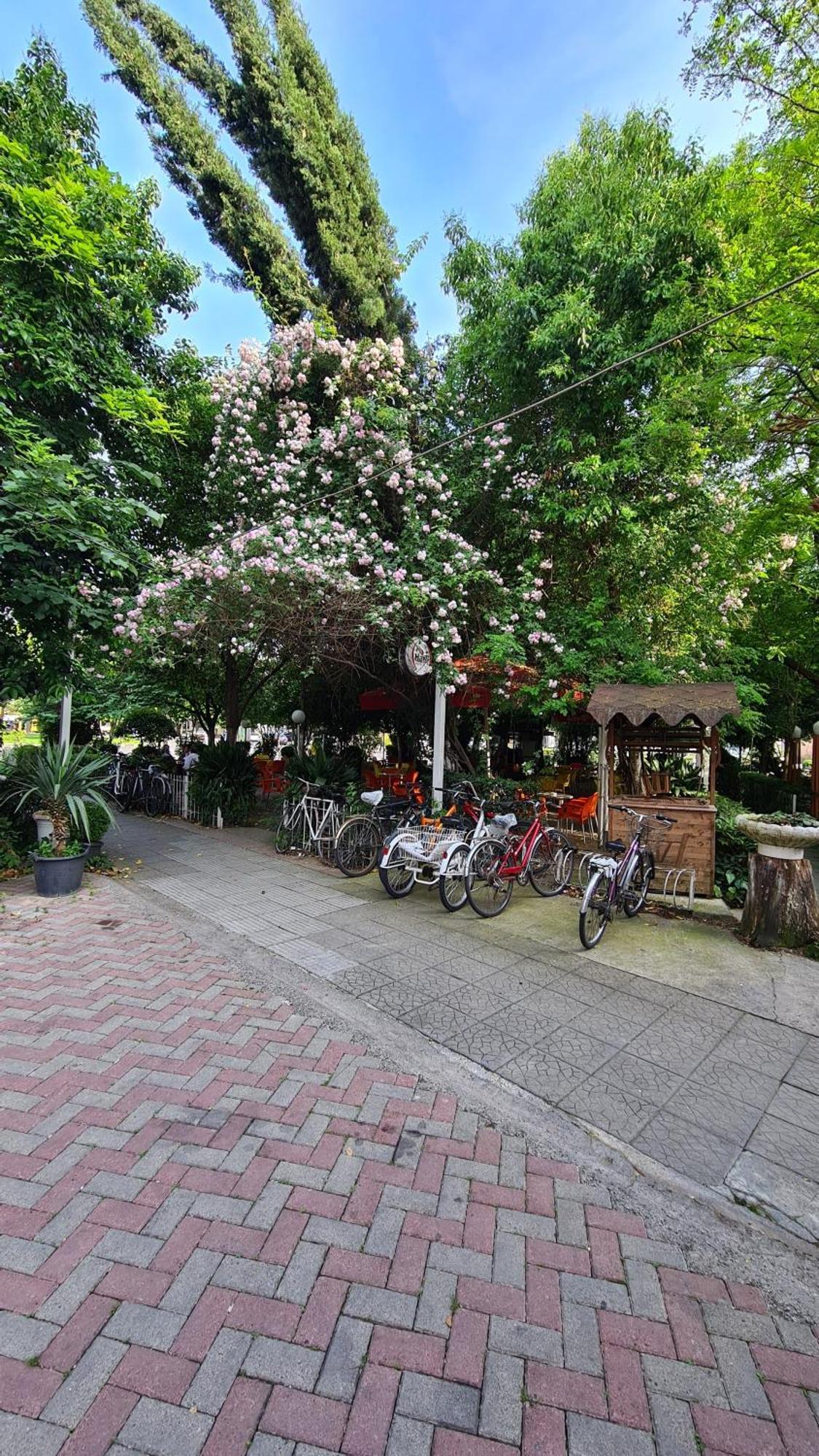 Dei Cozy Apartment Shkodër Eksteriør billede