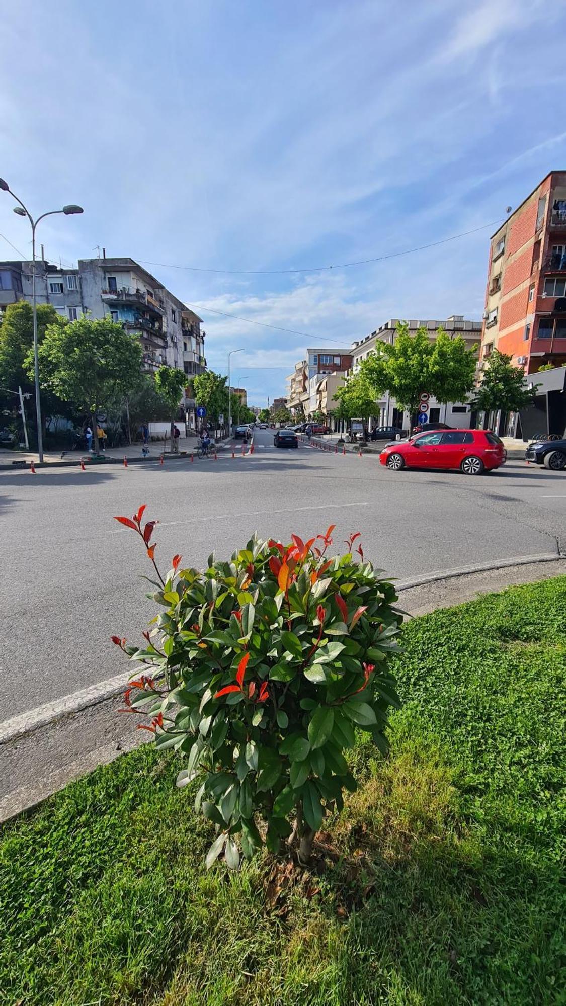 Dei Cozy Apartment Shkodër Eksteriør billede