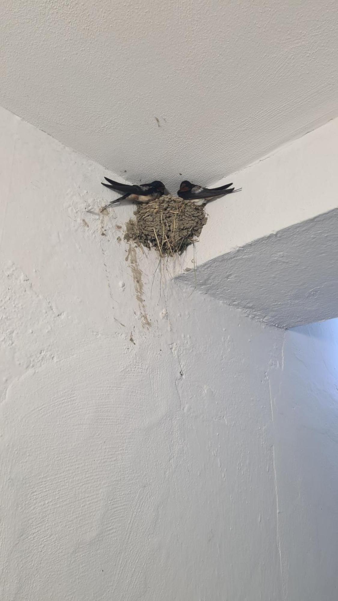Dei Cozy Apartment Shkodër Eksteriør billede